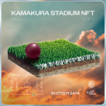 Token 10075012474