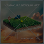 Token 10088232207